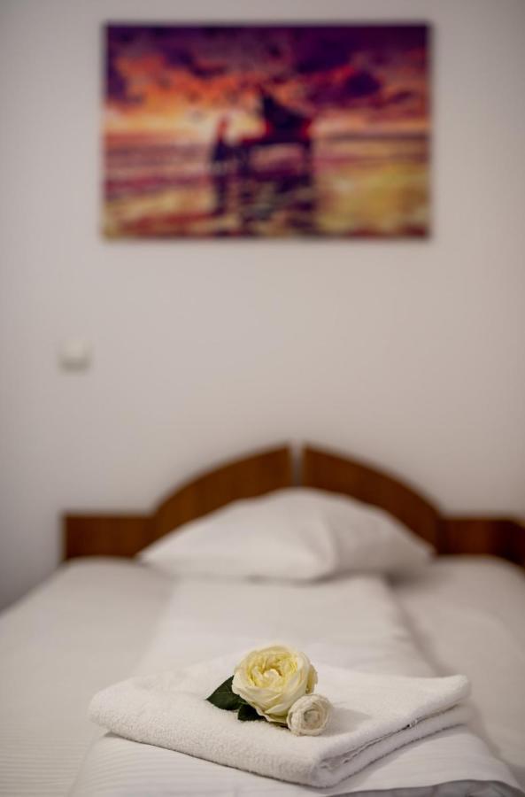 Ghimbav Escala Rooms מראה חיצוני תמונה