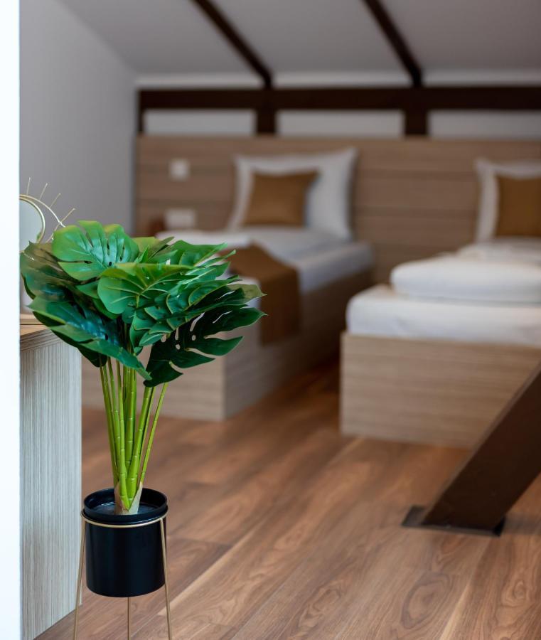 Ghimbav Escala Rooms מראה חיצוני תמונה